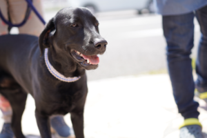 トリプルワン ぽんず店長
