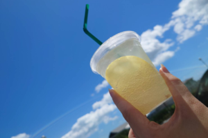 レインボーファーム レモネード